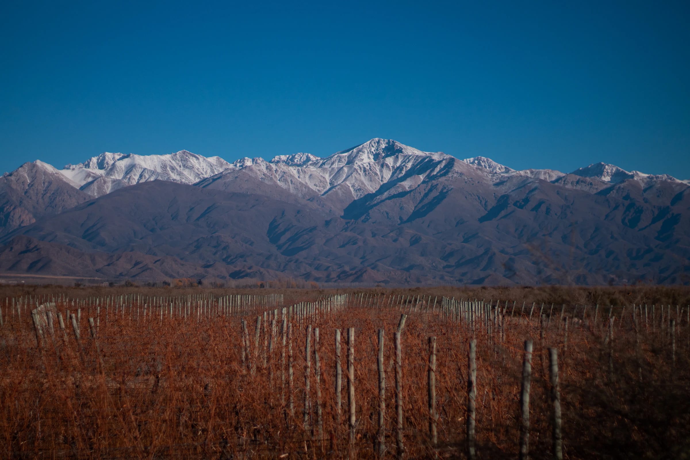 Mendoza, bodegas y Andes, Argentina